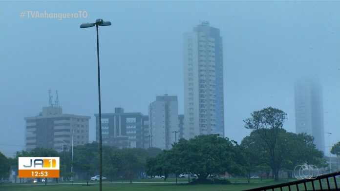 chuva-palmas
