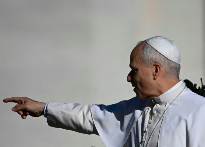afp-20251105-833t8zx-v1-midres-vaticanreligionpopeaudience