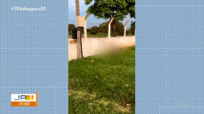 corpo-campo-