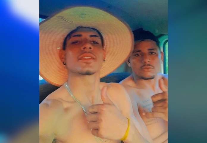 irmaos