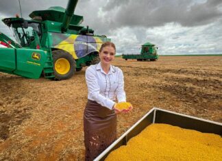 Mulheres ocupam espaço de liderança e transformam o agro tocantinense