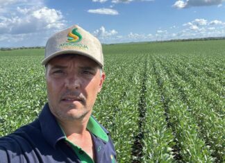 2ª safra no TO exige estratégia diante de desafios no campo, avalia Aprosoja