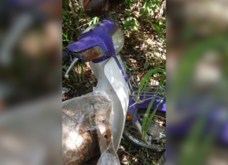 Comerciante desaparecido após sair para pescar é encontrado morto dentro de fossa no TO, dizem bombeiros