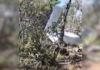 Aeronave de pequeno porte cai na zona rural de Palmas