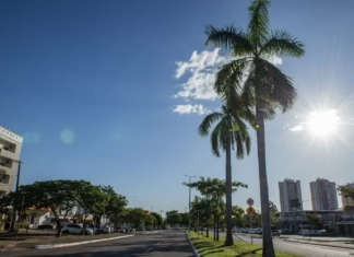 Palmas começa agosto com temperaturas de até 37°C; INMET emite alerta para baixa umidade