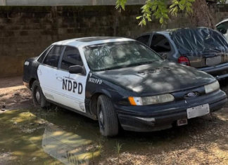 Viatura clássica da polícia dos EUA nos anos 90? Carro com plotagem semelhante é visto em Palmas